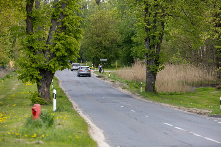 Džiaugsmo gatvė Naujojoje Vilnioje