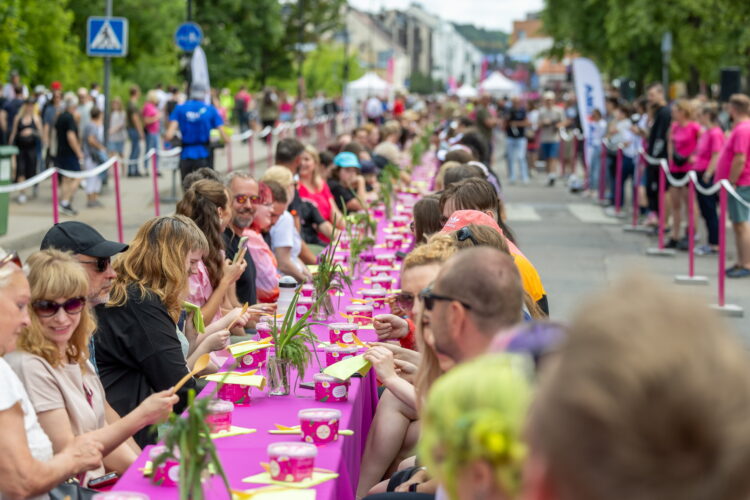 saltibarsciu festivalis vilniuje