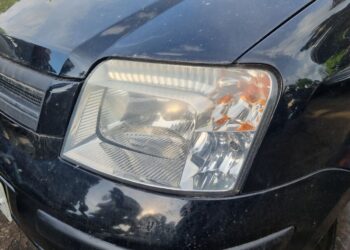 fiat panda priekinis zibintas