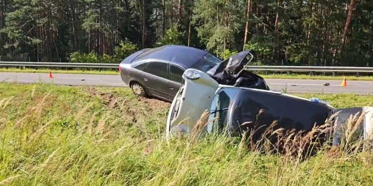 STOP kadras iš „Hibridinis paparacas“ vaizdo įrašo