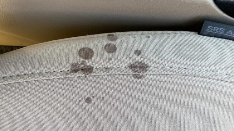 riebalu demes ant automobilio sedynes