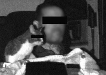 Katė kabinoje ir greičio viršijimas kodėl policija skyrė papildomą baudą