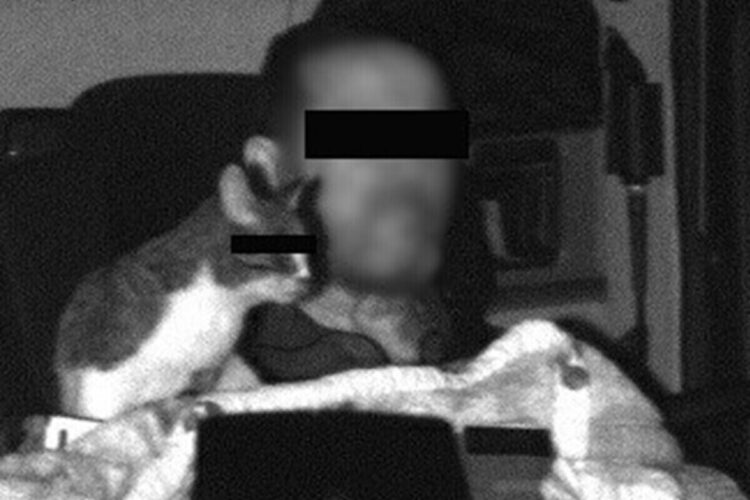 Katė kabinoje ir greičio viršijimas kodėl policija skyrė papildomą baudą