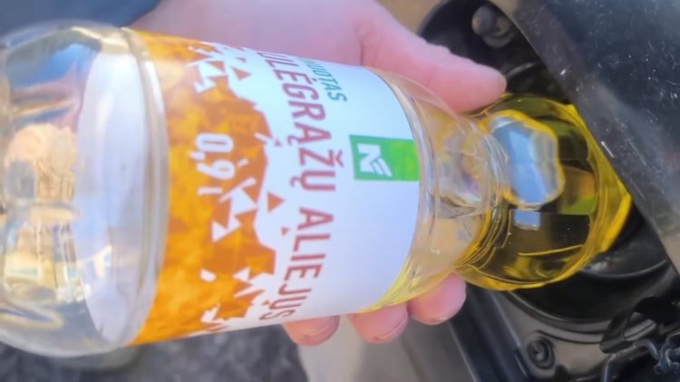 saulegrazu aliejus pilamas i dyzelinio automobilio baka