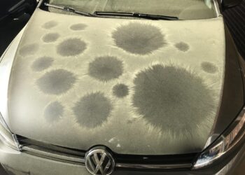 ziedadulkes ant automobilio kebulo lakas