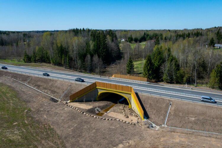 1000 susidūrimų su gyvūnais per metus Via Lietuva A14 kelyje Vilnius–Utena diegia sprendimą kurio Lietuvoje dar nebuvo