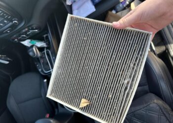 automobilio salono oro filtras kondicionierius pelesis