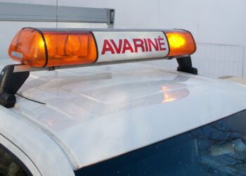 oranziniai svytureliai avarine