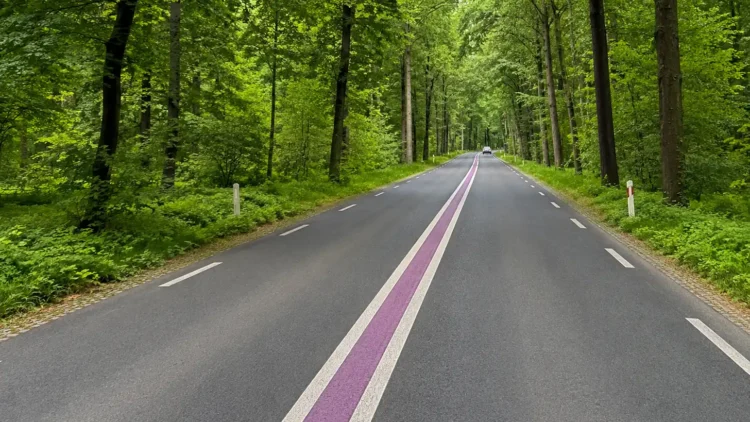 Važiavo ir pamatė violetinę juostą kelio viduryje — nesuprato, kol negavo baudos 1 violetine juosta kelio viduryje