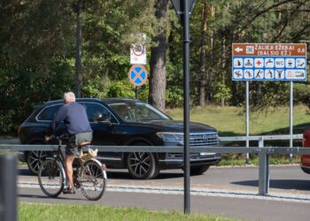 zalieji ezerai balsio ezeras parkingas