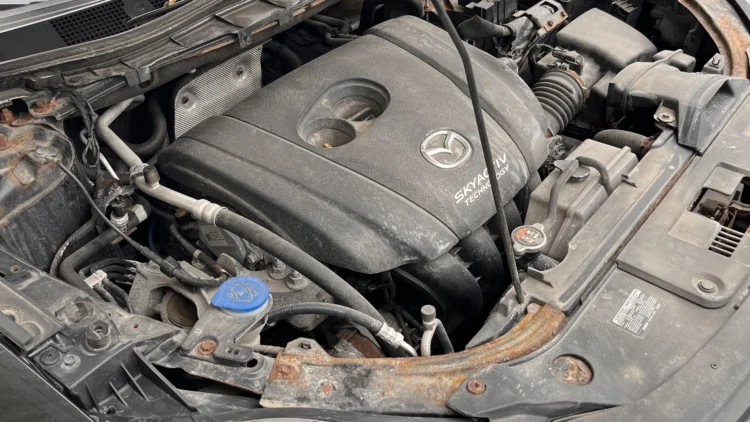 rudijantis mazda kebulas korozija po variklio dangciu