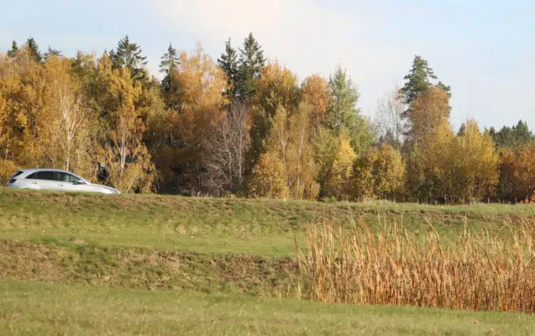 ruduo automobilis miskas
