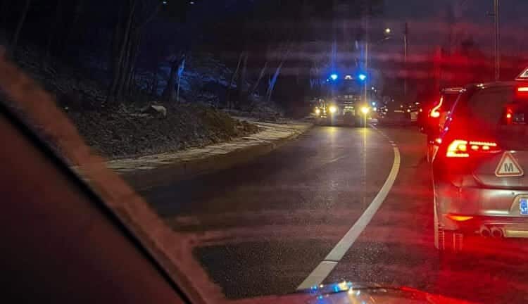 eismo ivykis avarija mokinio automobilis