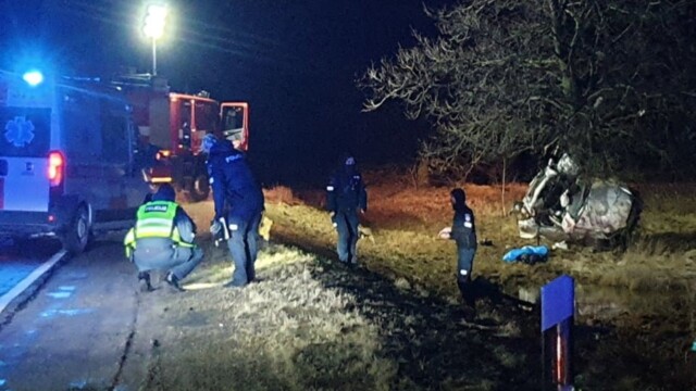 Tragiška avarija Panevėžio r po smūgio į medį žuvo „Subaru“ vairuotojas, keleivis išgabentas į ligoninę 2
